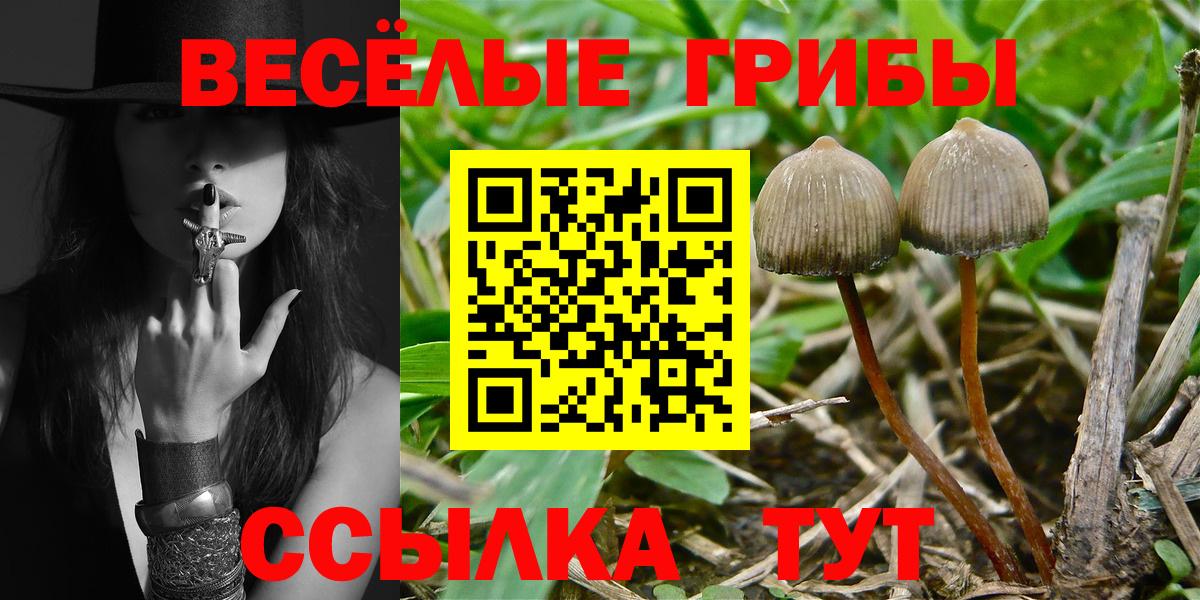 Галлюциногенные грибы мухоморы Назарово