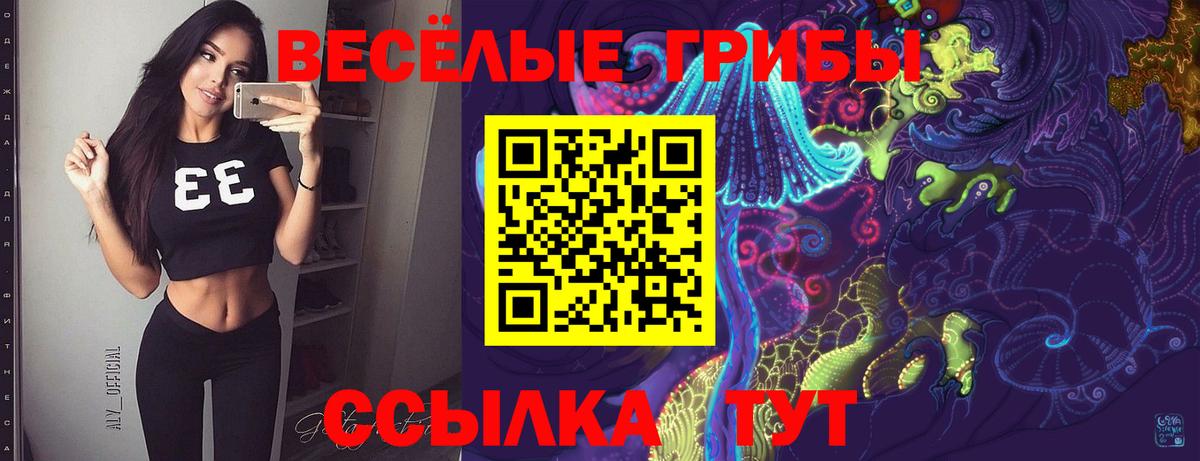 Назарово  Галлюциногенные грибы мицелий  Вход с VPN 